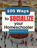 100 Ways To Socialize Your Homeschooler